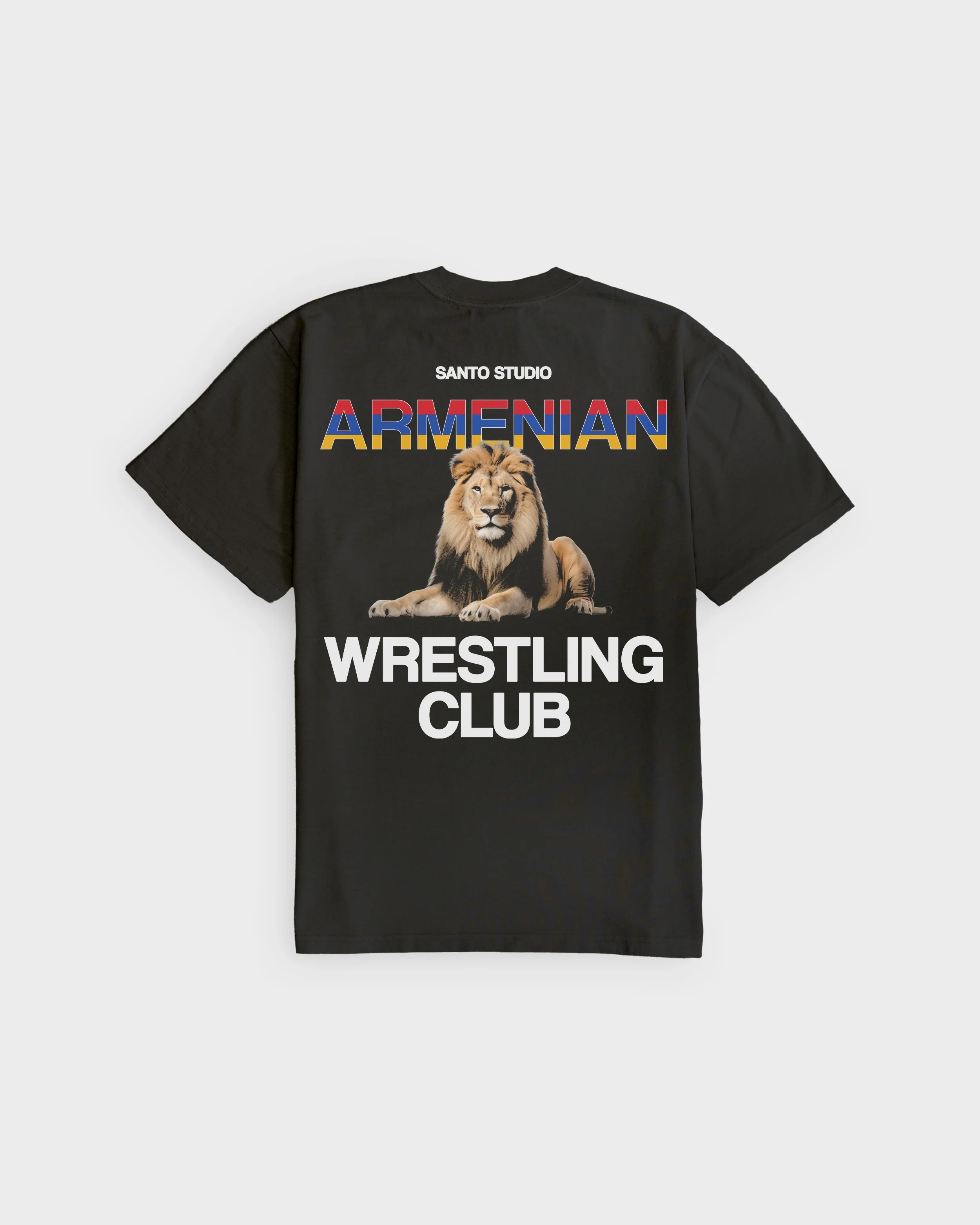 Armenian Wrestling Tee - Image 3